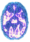 happy-brain
